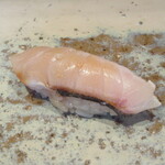 菊鮨 - 鰆(福岡姫島)