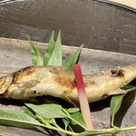 新ばし 星野 - 郡上・長良川の天然鮎塩焼き
                                天然物でこのサイズは立派、よくぞご無事で成長されました。
                                骨以外は頭から尾っぽまで実に良い味わい、蓼酢を付けながらしばし至福のひと時を楽しみました。