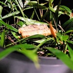 レフェルヴェソンス - 