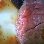 sky - ﾋﾚ肉使用だそうです