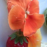 sky - マンゴータルト