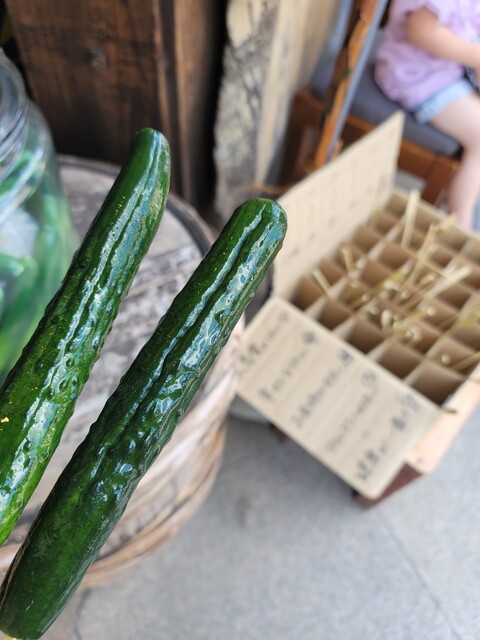 蔵づくりの街で河童の胡瓜を By Men党 河村屋 川越店 創作漬物の河村屋 本川越 和食 その他 食べログ