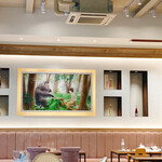 Cresson River Side Story