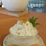 川のほとりの美術館 - 