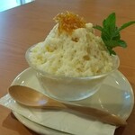 川のほとりの美術館 - 