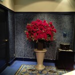 KATO'S DINING & BAR - 