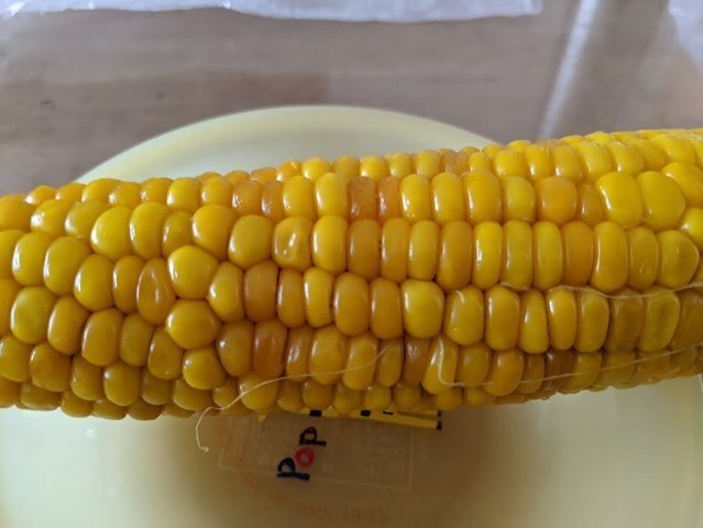 福井農園 - 納内（その他）の写真