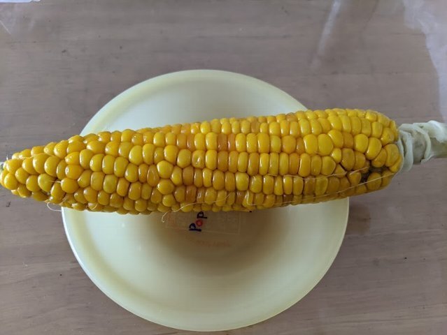 福井農園 - 納内（その他）の写真