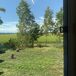 シャンディ ニヴァース カフェ - 