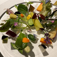 レフェルヴェソンス - 