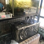 清水屋川魚店 - 鰻はにょろにょろ