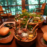 山ごぼう - 