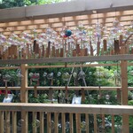 エルムガーデン - 