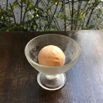 Madagascar vanilla Gelato