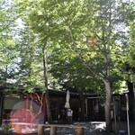 トラットリア プリモ - 