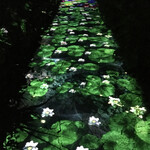 厨翠山   - 定山渓観光