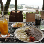 15599140 - カレー＆マンゴージュース