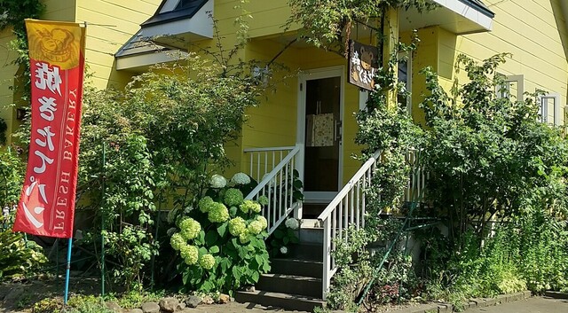 森のくまさん - 洞爺（パン）の写真