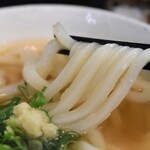 富泉 - かけうどん