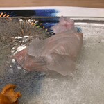 うを徳 - 淡路 星鰈