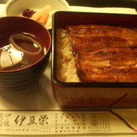 鰻割烹 伊豆栄 不忍亭 - うな重
