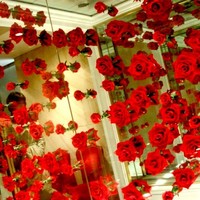青山 エリュシオンハウス - エントランス壁面の赤薔薇