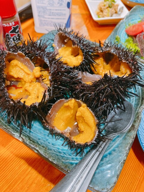 ひよこ 本八戸 居酒屋 食べログ