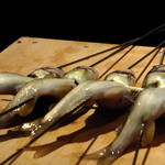 菜庭酒菜　櫓仁 - (ෆ◕◡◕ෆ)ﾉ｡+ ✿ﾟ泳ぎ子持ち鮎塩焼き～めっちゃ新鮮～今からじっくり焼いて下さるんです♬('12.10月より)