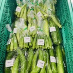 守谷SA やさい村 - 