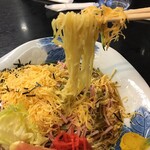 たつみ食堂 - 細麺