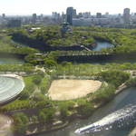 菜庭酒菜　櫓仁 - 大阪城＆OBPへ是非お越し下さいませ