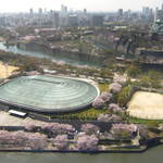 菜庭酒菜　櫓仁 - 大阪城＆OBPへ是非お越し下さいませ(≧ω≦*)♪