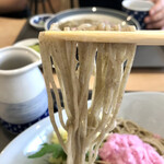 ひすいそば専門店 かわせみ - 細めの十割。
喉越し、風味、コシともに抜群です。