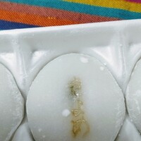 熱田神宮会館 休憩所 神宮前 喫茶店 食べログ