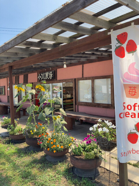 小川農場 千歳 アイスクリーム 食べログ 小川農場 千歳 アイスクリーム 食べログ