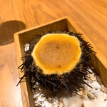 ル スプートニク - 