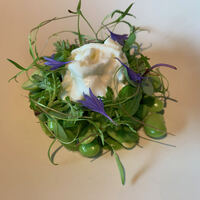 ナクレ - 【東京ブッラータ 仙台茶豆 ソフトシェルクラブ】★2021/7