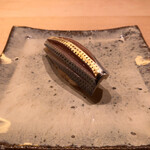 すゝき野 鮨金 - ⚫︎小肌