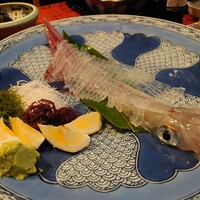 河太郎 中洲本店 - 呼子のいかの活造り