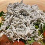 近畿大学水産研究所 銀座店 - しらすサラダはしらすたっぷり。