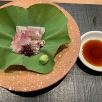 おおたに - 鯒、いさき、しゃこのお造り