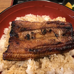 Unagi Katsupou Riyuu - 