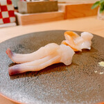 木挽町 とも樹 - 