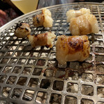 焼肉ホルモン 風土. - マルホル