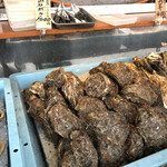 カキ小屋 - 料理写真:天然岩牡蠣