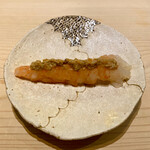 鮨 なんば - 車海老