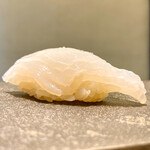 鮨 なんば - アオリイカ