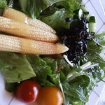 シリウス - ｻﾗﾀﾞ