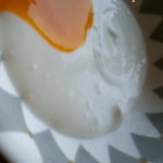 シリウス - ﾖｰｸﾞﾙﾄ