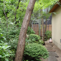 泉岳寺門前 紋屋 - 